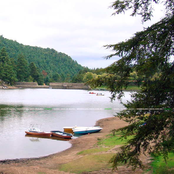 Parque Recreativo El Cedral